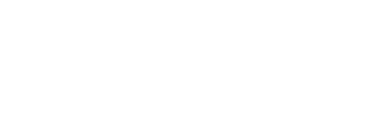 gemeente delft